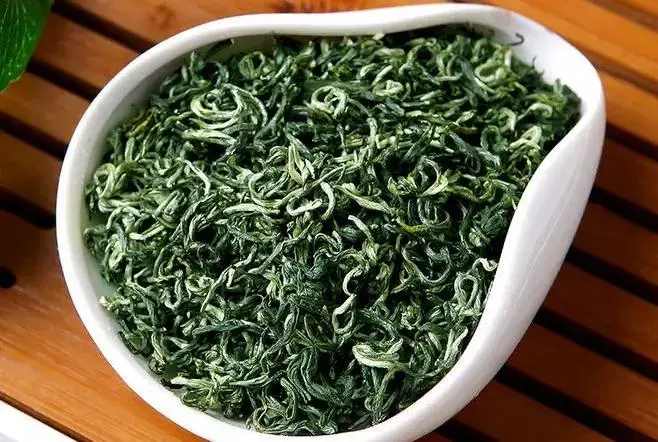 茶种解析茶中仙子洞庭碧螺春