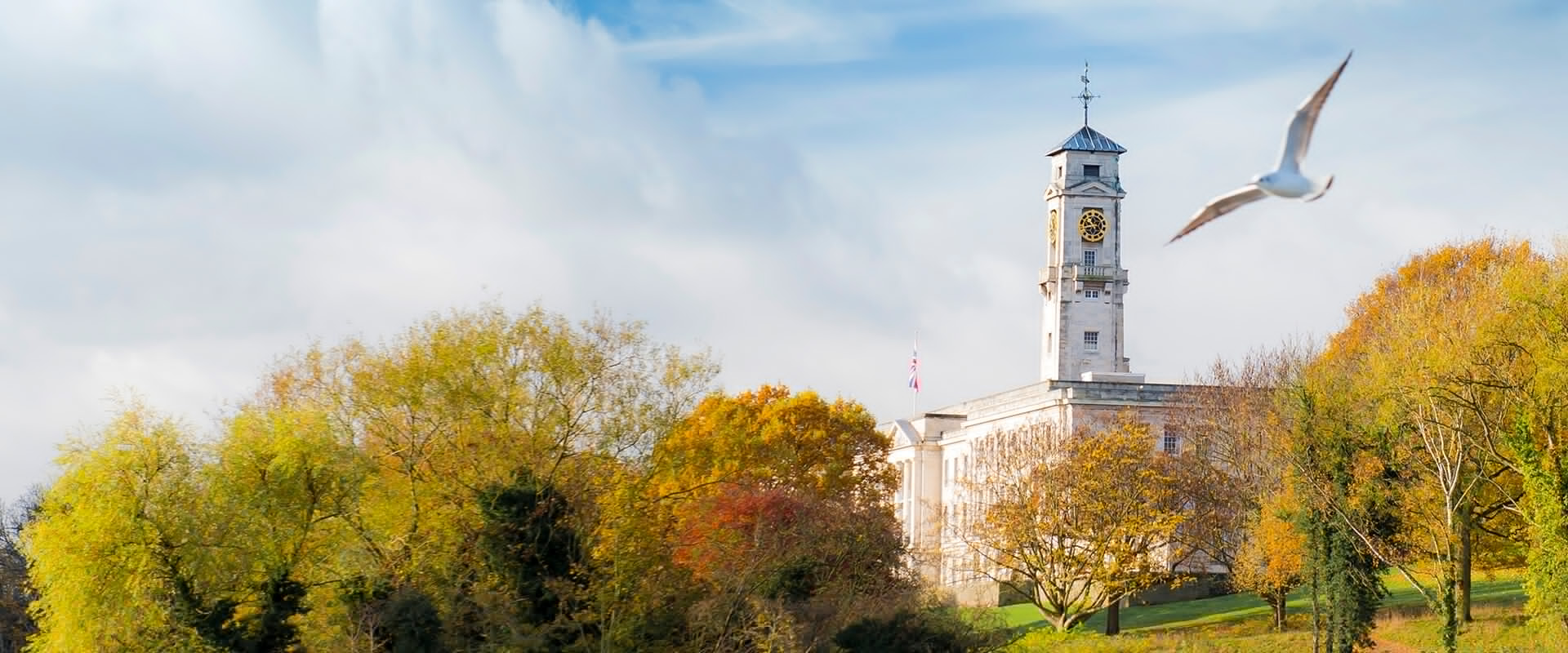 资讯英国诺丁汉大学商学院以下5个商科专业012021重新开放申请