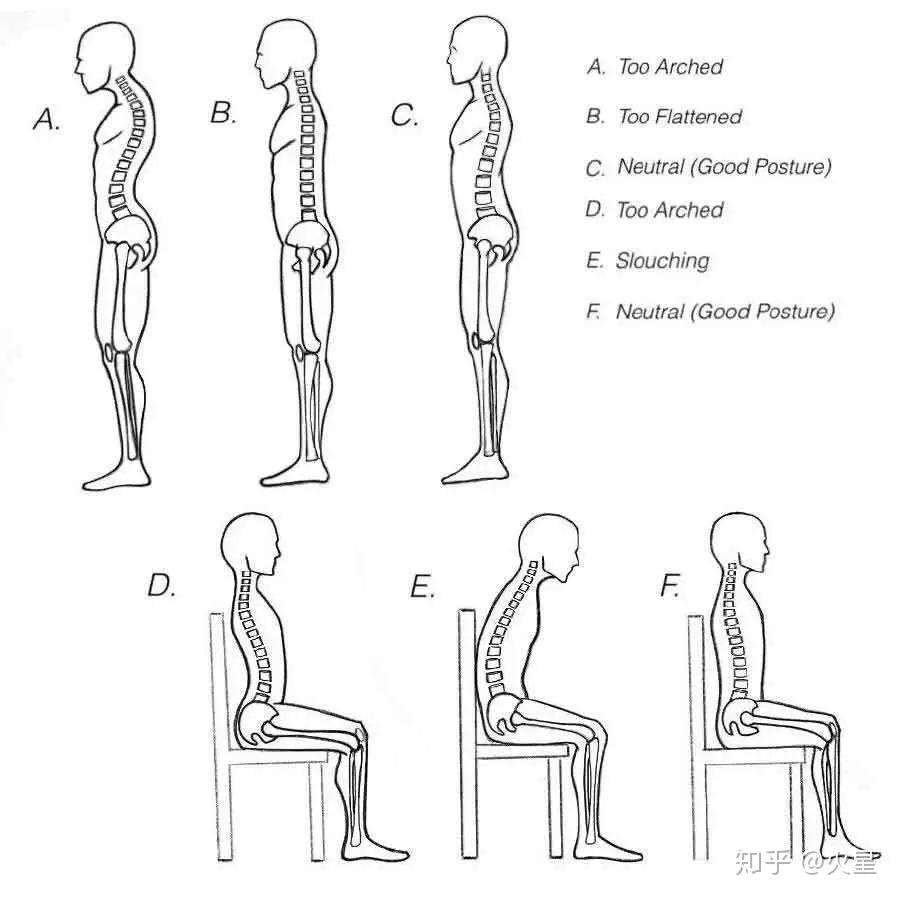 movement脊柱中立位之迷思