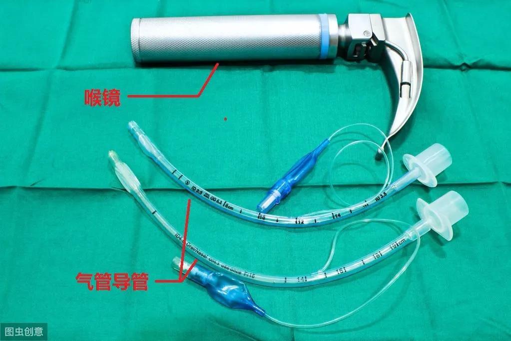 那就需要借助一个气管插管导管.