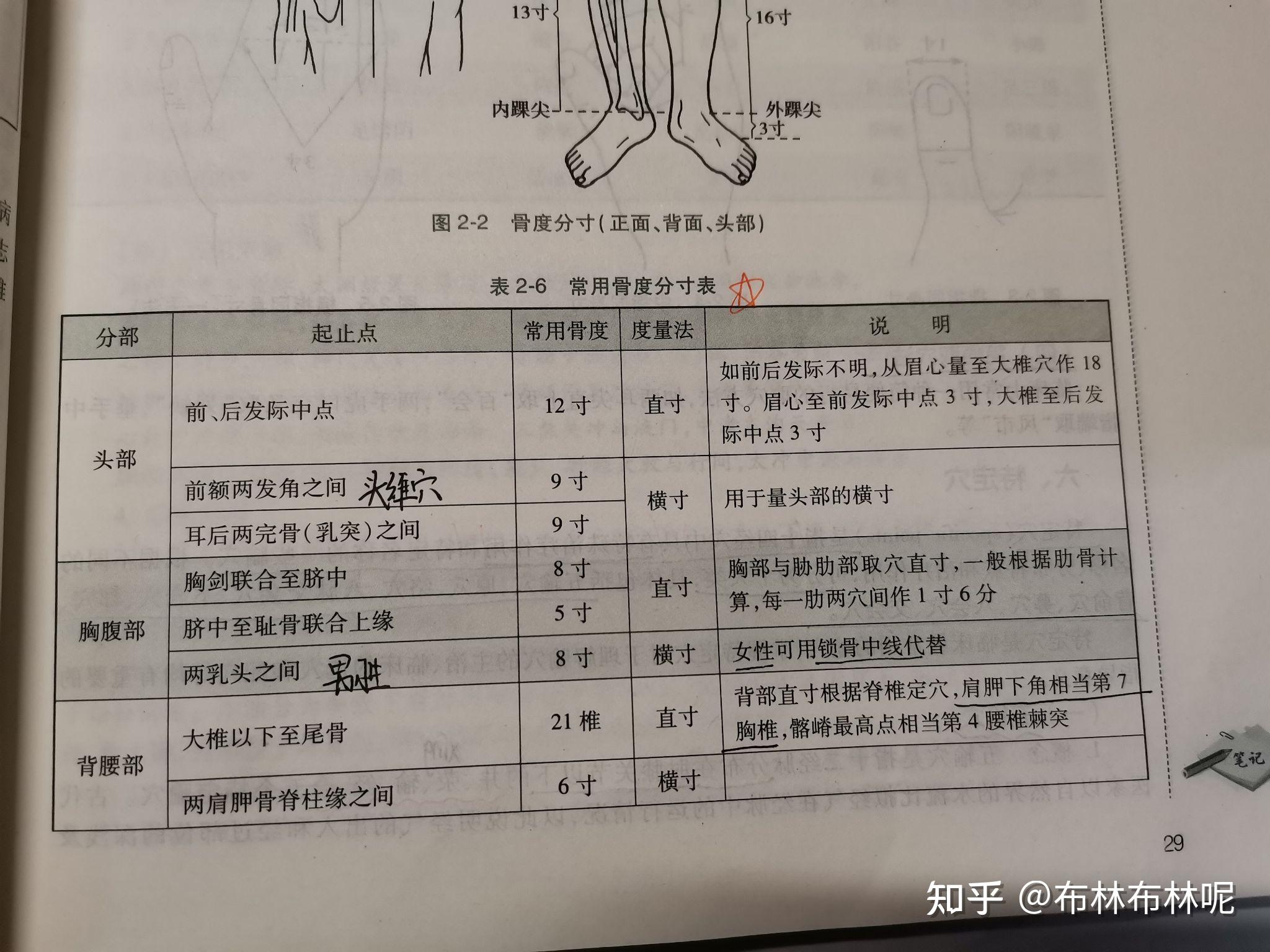 骨度分寸定位法口诀 知乎