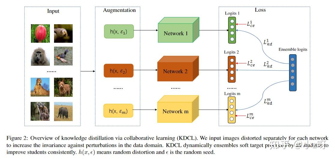 【34论文泛读】Online Knowledge Distillation via Collaborative Learning - 知乎