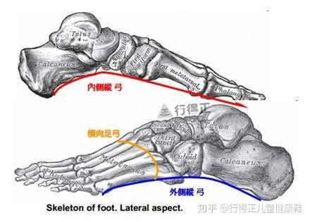 v2-3bdfb29f0a1e3380f05325494bd87b24_r.jpg
