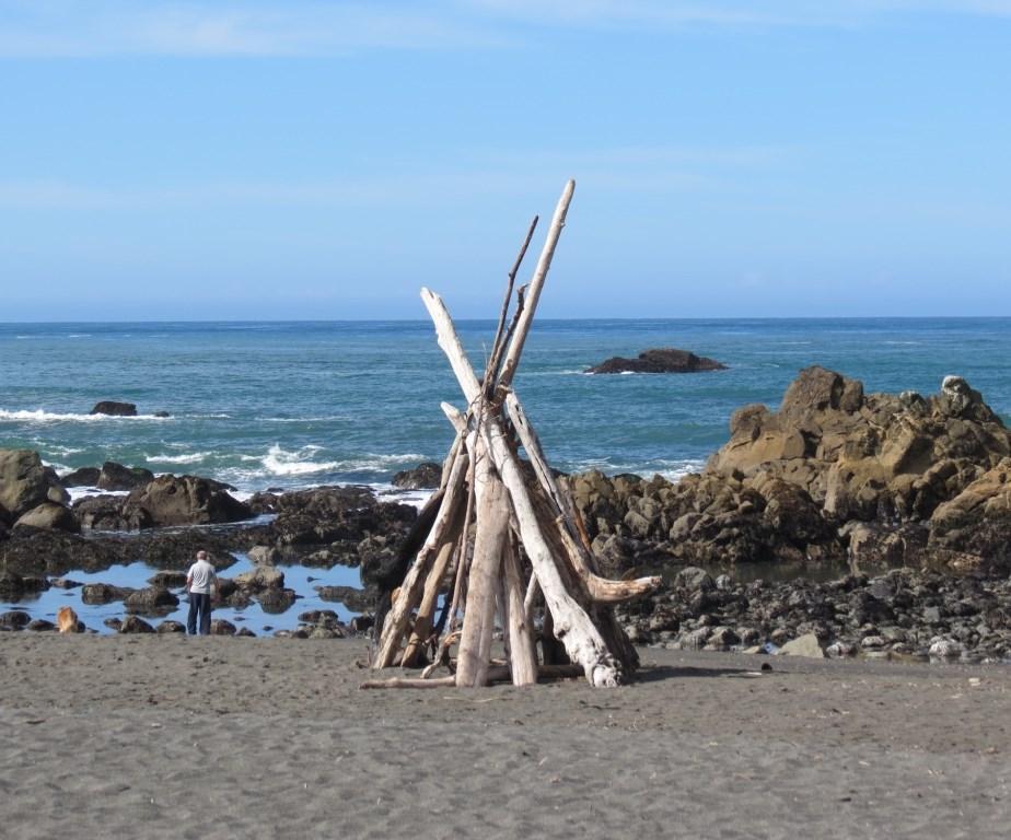 2016美国西海岸之旅六红树林