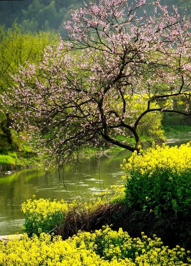 藏在国内的世界级美景，愿余生能陪你一起走遍！ - 知乎