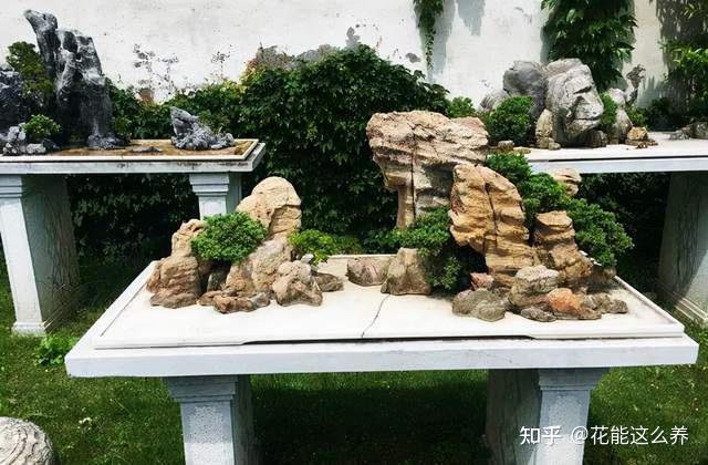 家中制作小型山石盆景方法简单新手一看就会