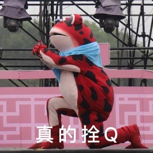 头套动态表情蜜蜂小熊表情包小白人打电话表情包酸奶猫表情包蓝色猫猫