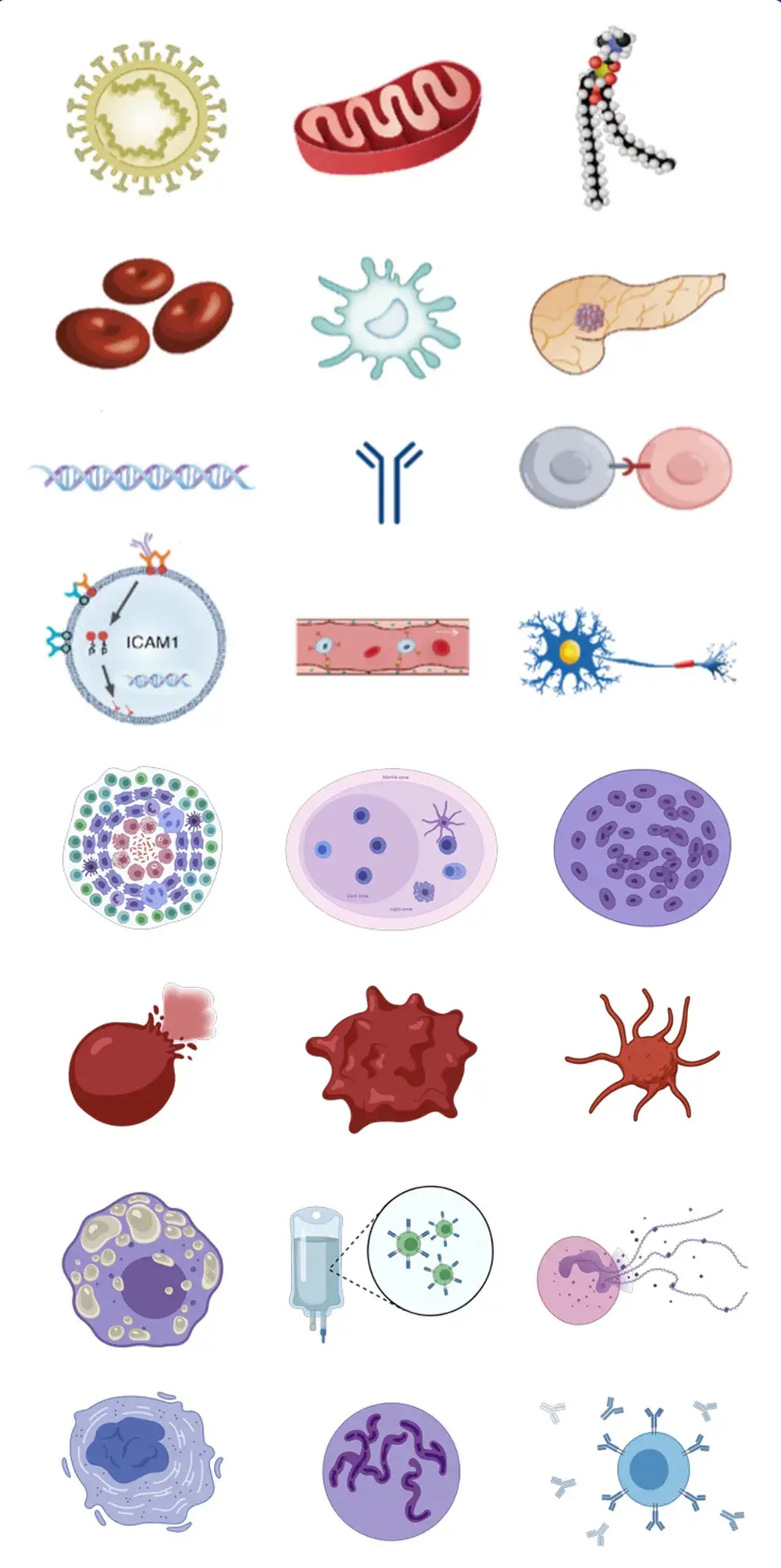 2022年做科研的你很需要一个免费画图的朋友科研绘图