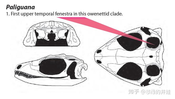【地球演义】隐介藏形 - 知乎
