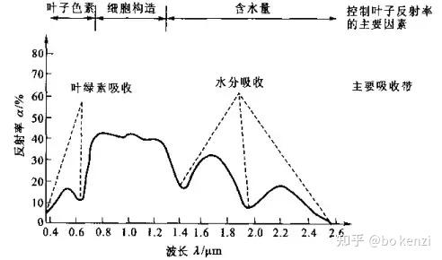 植被的光谱特性 - 知乎