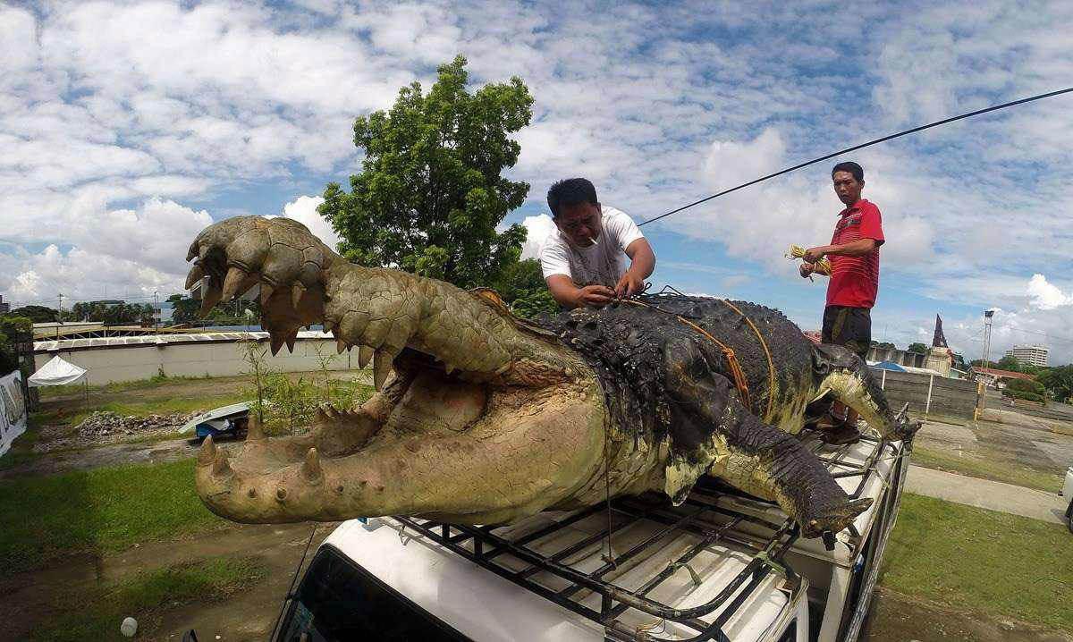 2011年9月一条菲律宾咸水鳄鱼,名叫洛龙,据了解,巨鳄洛龙鳄鱼身长6.