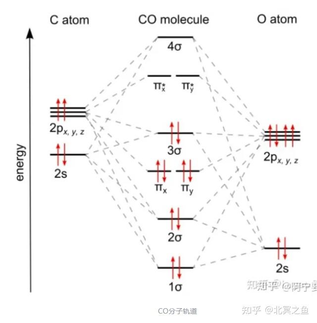 不等性杂化图片