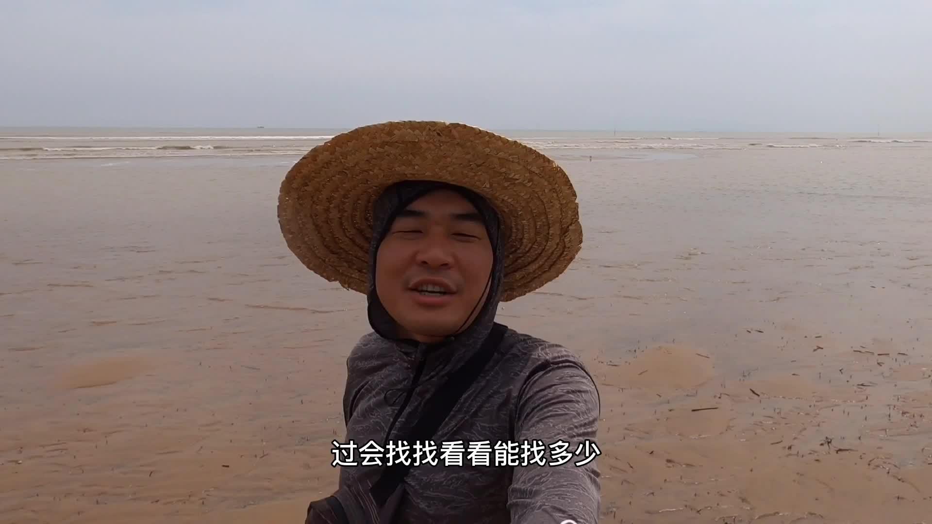 大海退潮后大洋赶海螃蟹隐藏在沙滩表面留下呼吸孔好多海五星