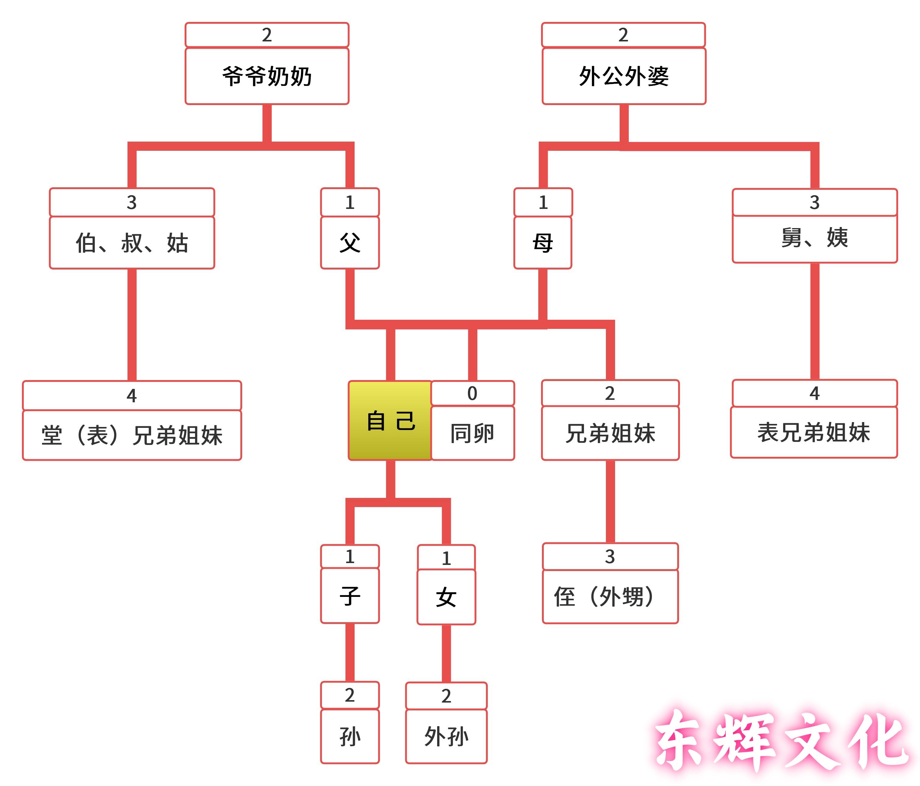 血缘纠缠 - 知乎