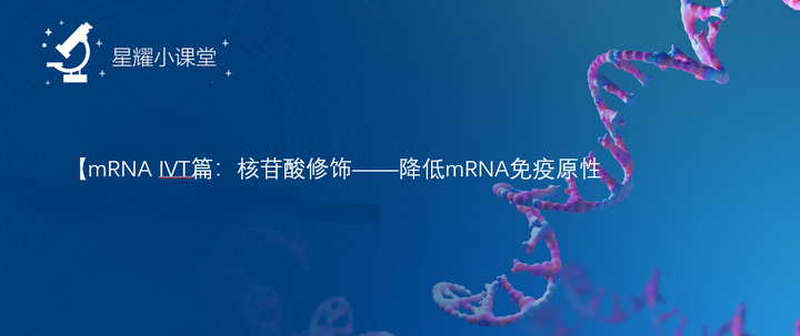 【星耀小课堂】mRNA IVT篇:核苷酸修饰——降低mRNA免疫原性 - 知乎