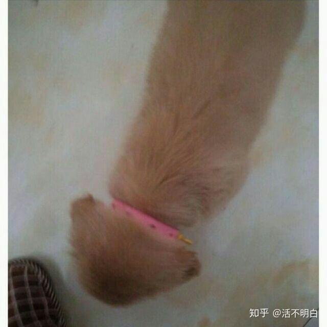 有哪些不仔细看会让人误会的图片? - 知乎