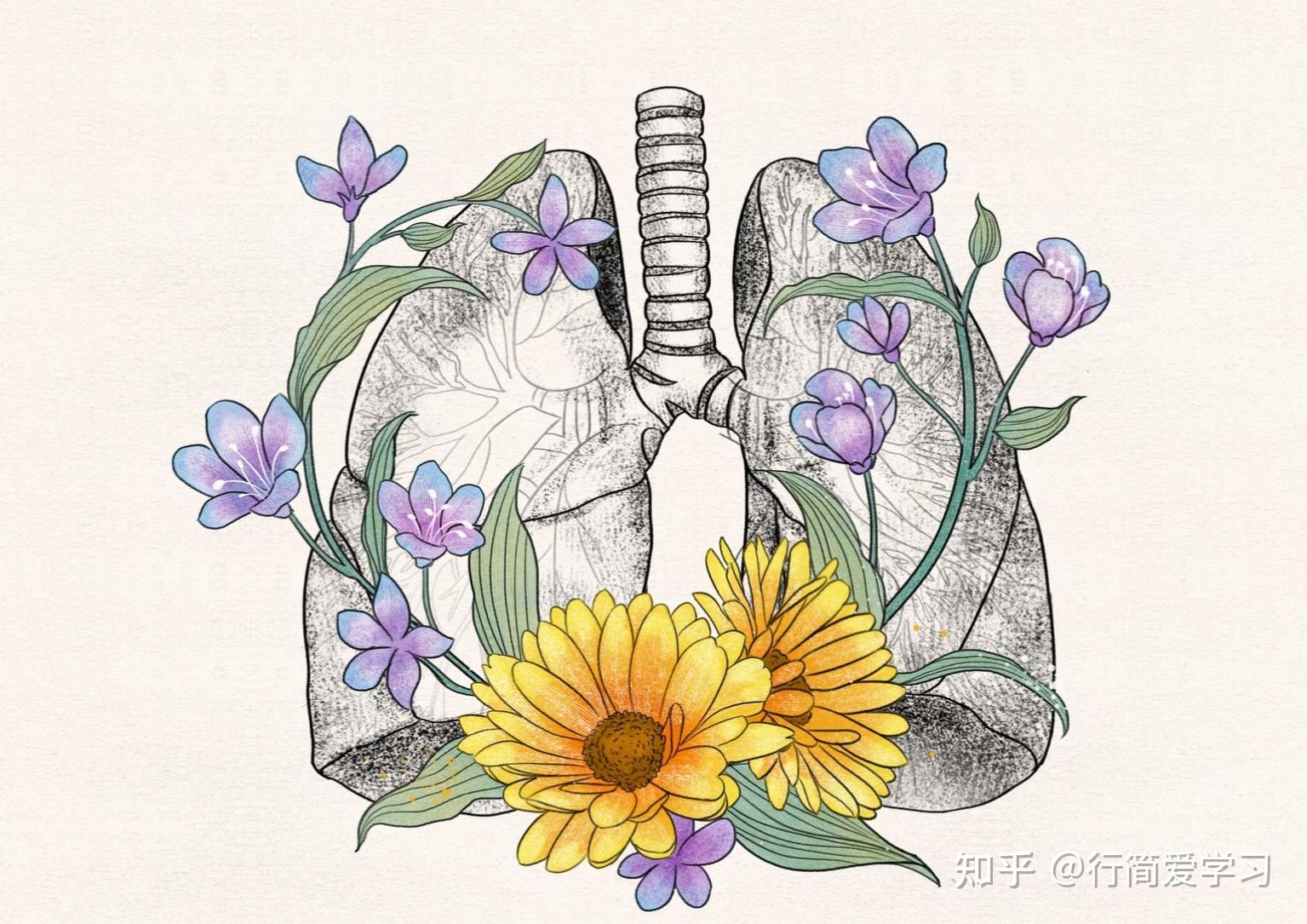 如何入门医学插画? - 知乎