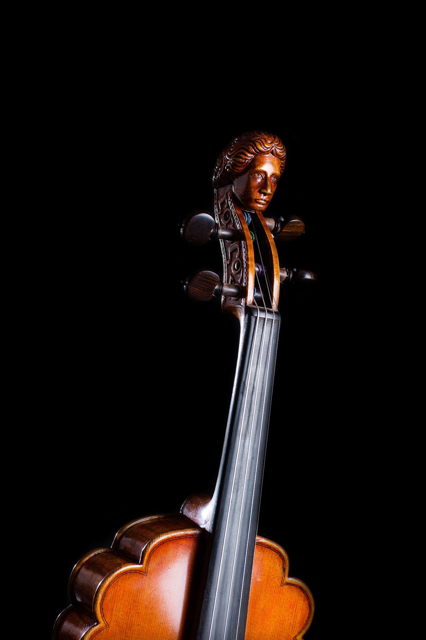 想买一个好一点的小提琴哪一种会比较适合大学生用补充一下大概几千块