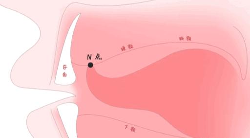 你们平时舌头是怎么放在嘴里的? - 知乎