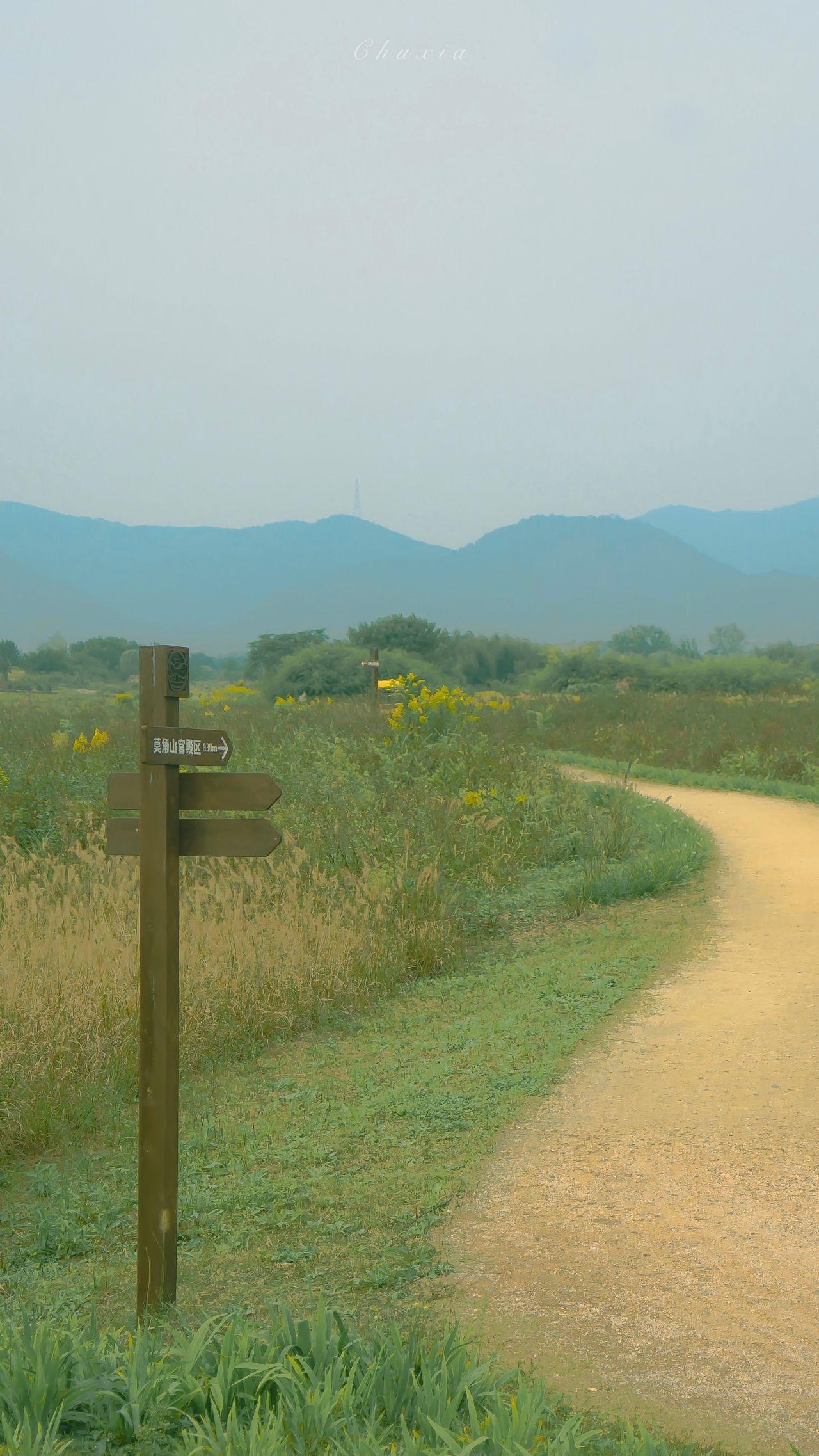 有什么美到极致的绿色壁纸?(绿色壁纸好看卡通动漫)