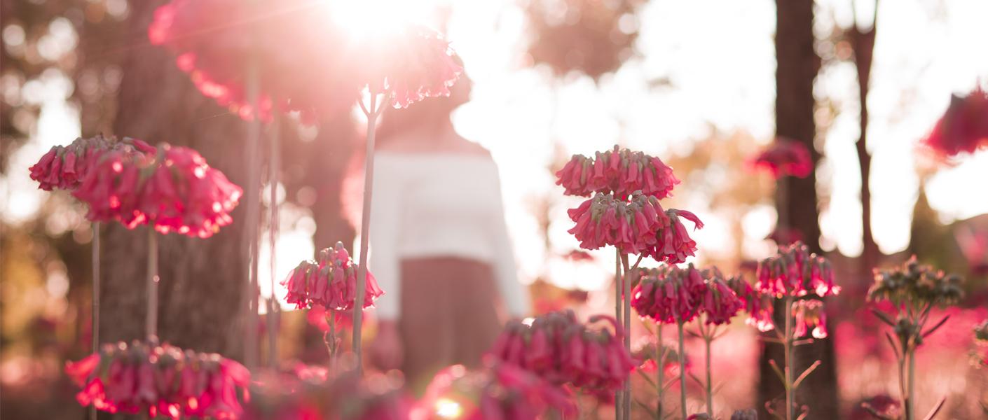 不能说出口的 不只秘密 还有难过 经典语录晚安句子 知乎