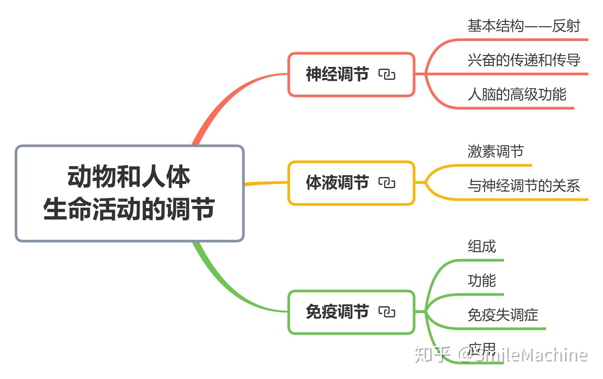 动物和人体生命活动的调节知识结构图