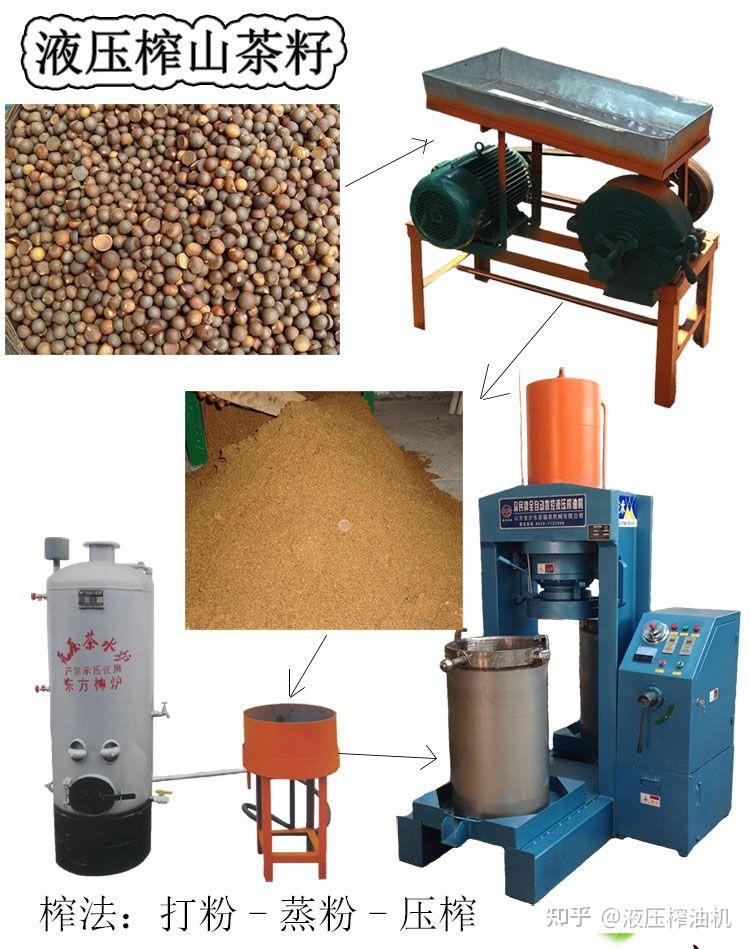 想压榨山茶油,哪种榨油机好? - 知乎