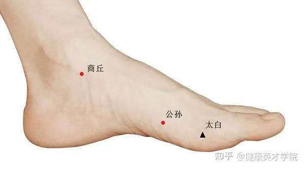 看足踝内侧的四个穴位，能找出经络的循行规律！ - 知乎