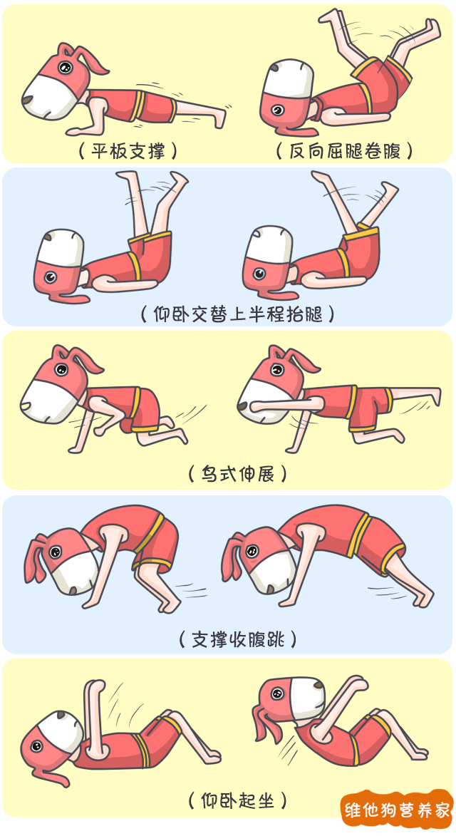 怎么快速有效地减掉啤酒肚