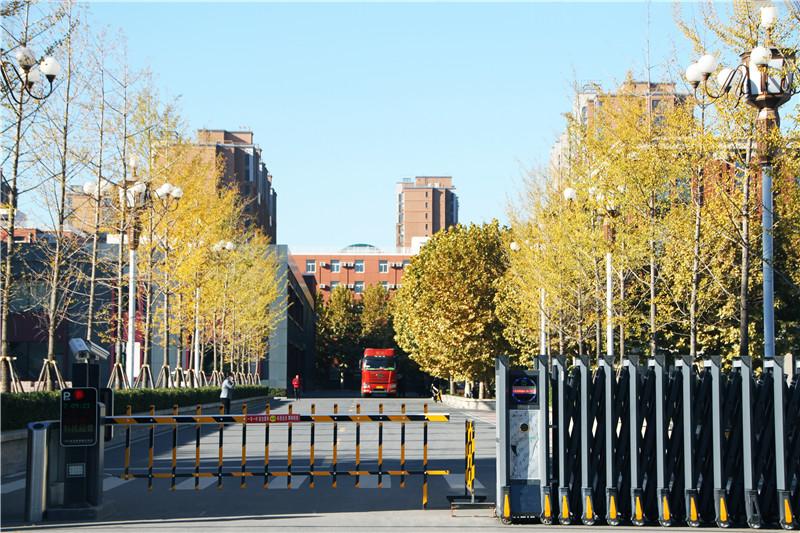 北大青鸟是正规学校吗