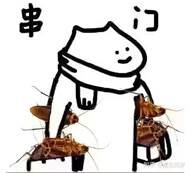 广东的蟑螂真的很多很大吗?