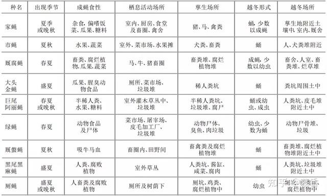 冬季家里出现苍蝇的有效防治方法