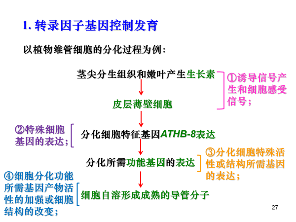 植物学期末复习植物生理部分（光合不全） - 知乎