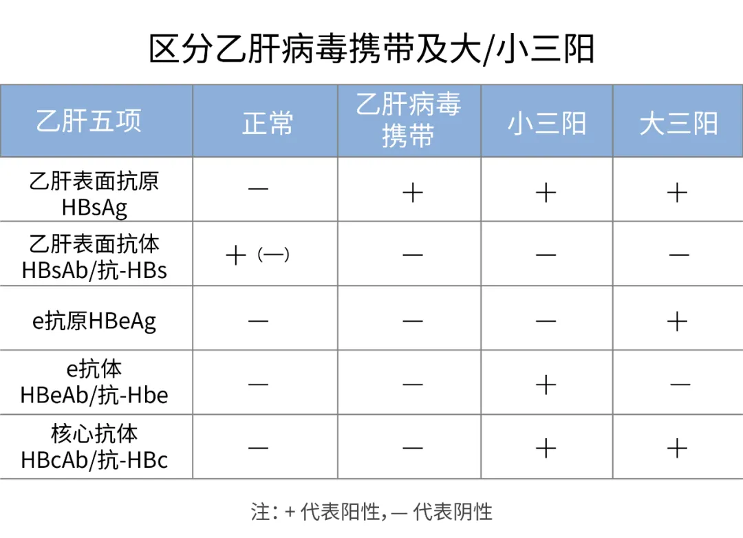 hbcab:乙肝病毒核心抗體hbeab:乙肝病毒e抗體hbeag:乙肝病毒e抗原