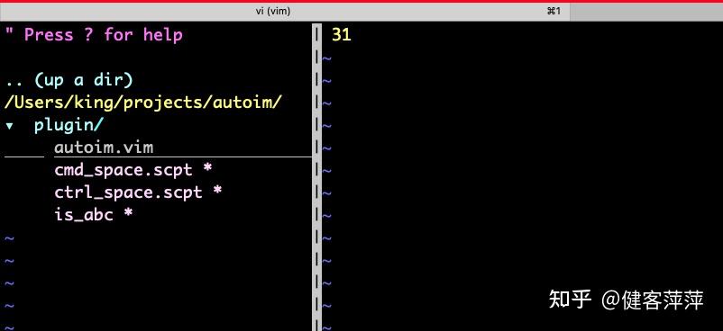 让 vim 也有文件列表 -- NERDTree 插件 - 知乎