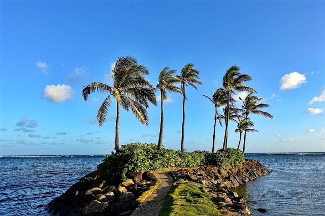 最美沙滩——威基基(waikiki beach)