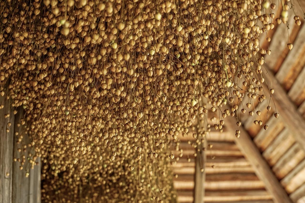 3. 环评与政策合规