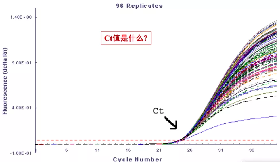 根据扩增曲线的基线期,指数增长期,线性增长期和平台期的分段(如图2)