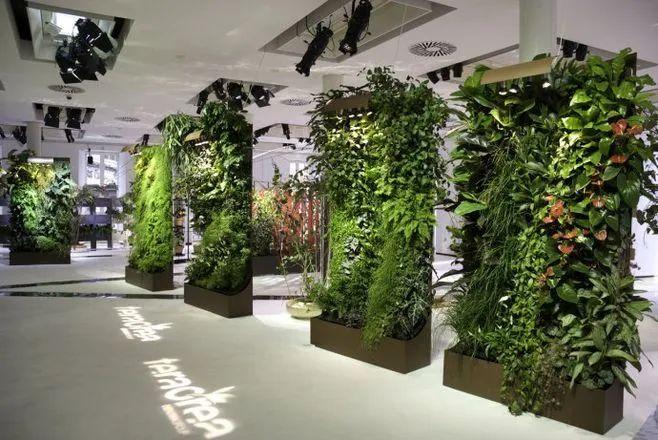 商业空间陈列中花植元素的魔法力