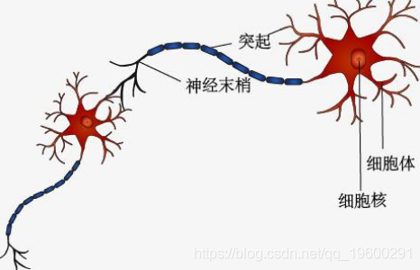 拓端tecdatr语言中的bp神经网络模型分析学生成绩