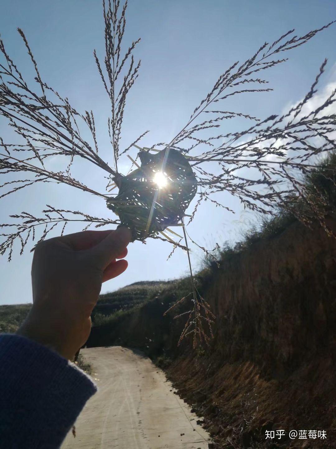谁有趁阳光正好趁微风不燥的图片呢求图谢谢谢谢