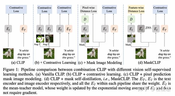 maskclip-masked-self-distillation-advances-contrastive-language-image