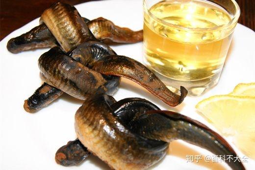 动物篇(32)·无颌鱼 - 知乎