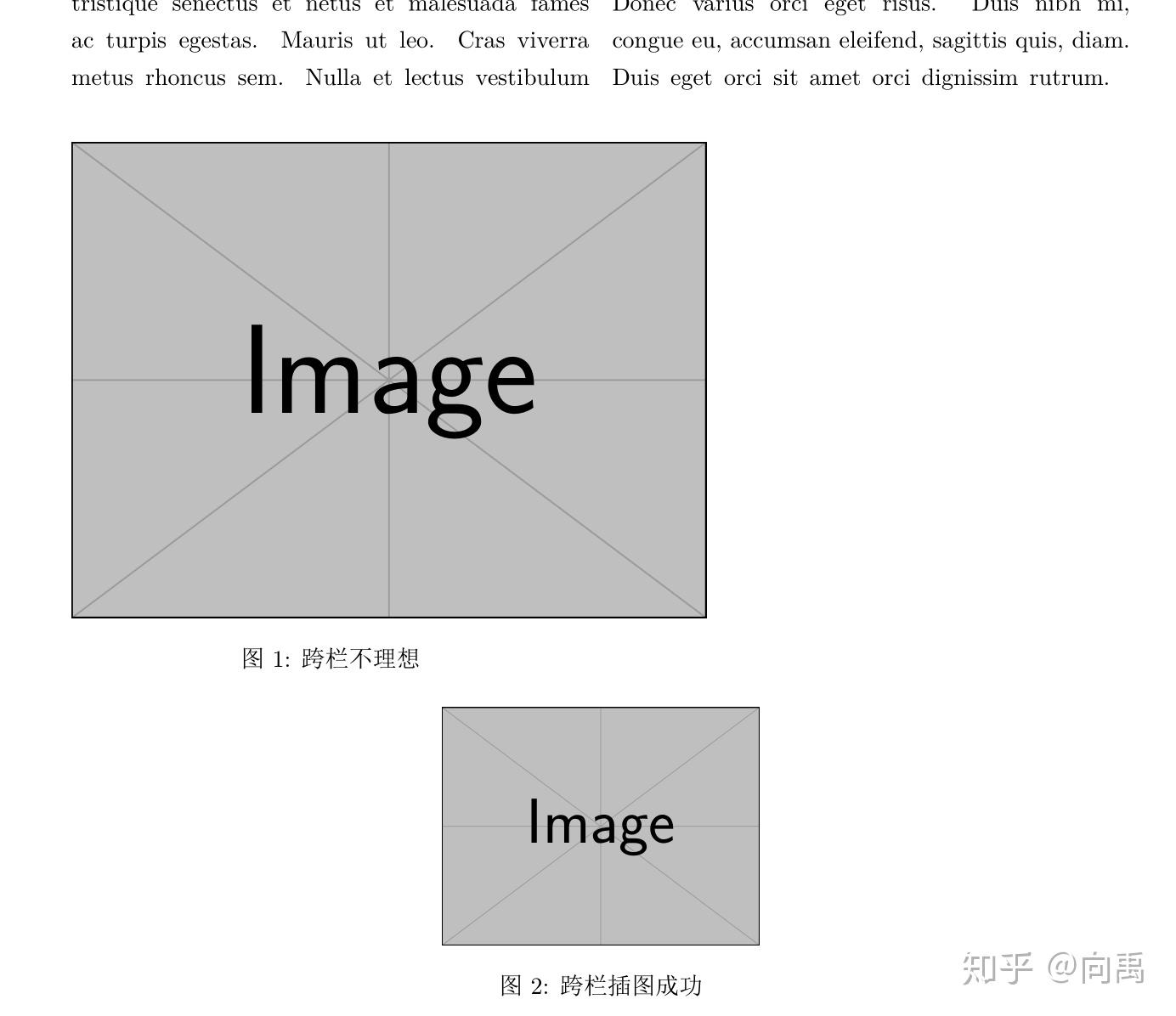 Word如何把两张图片并排放在一起-Word文档将两张图片水平排在一起的方法教程 - 极光下载站
