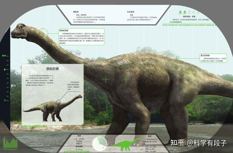 畸齿龙学名:heterodontosaurus.含义:长着不同牙齿的蜥蜴.