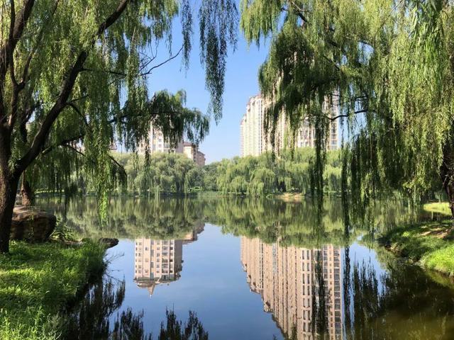 差价空前ceo都爱买的北京星河湾降3000万上拍