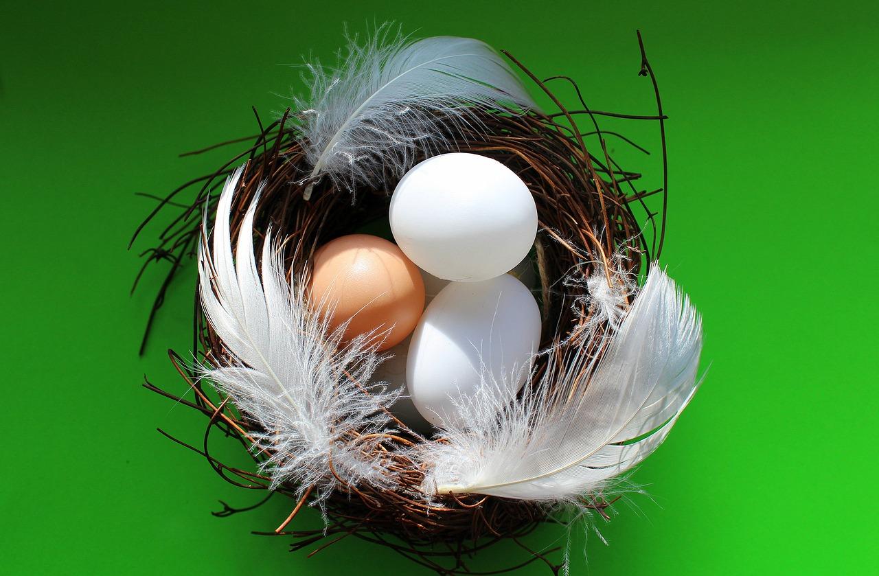 5. 煮蛋器价格区间