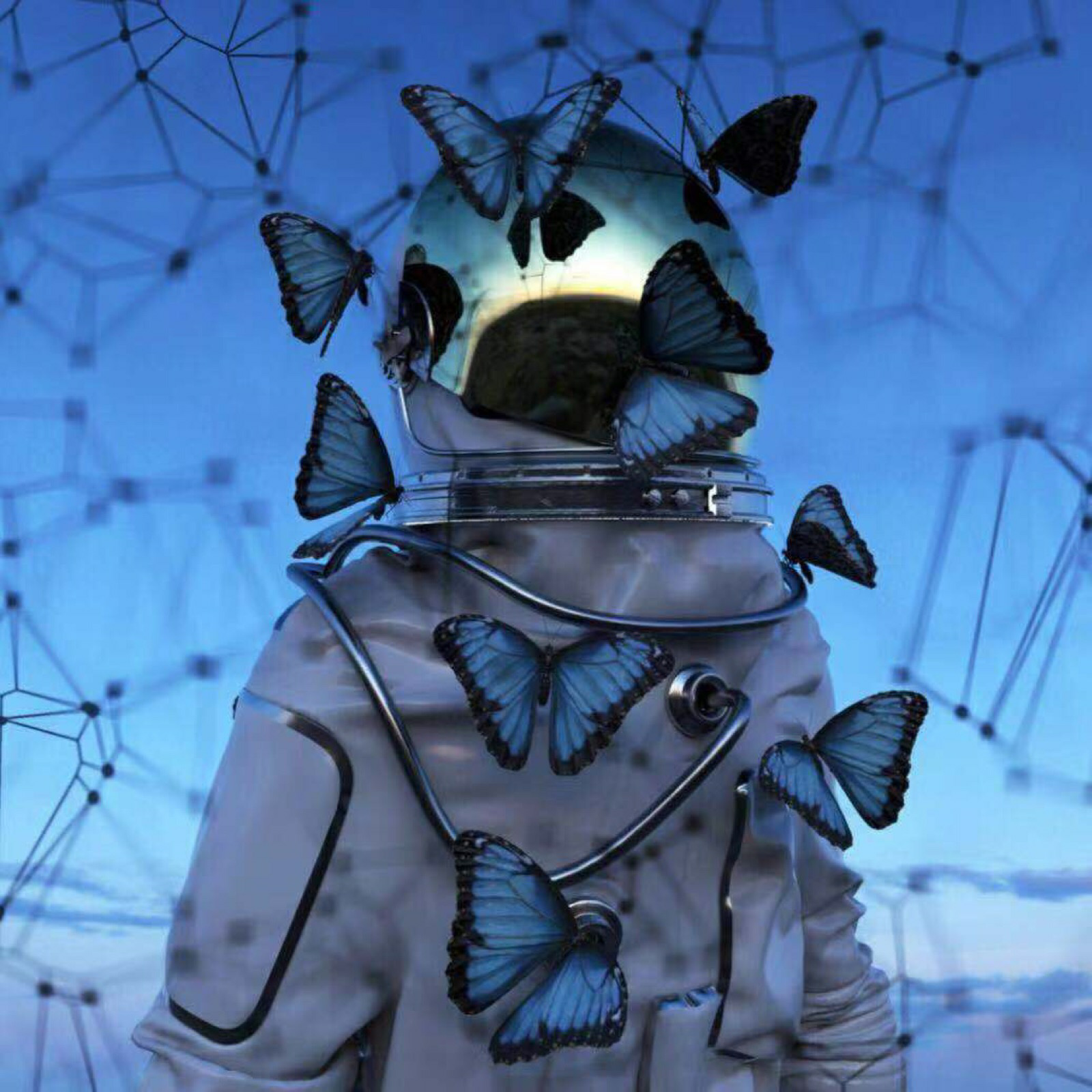 有没有黑白的蝴蝶头像或壁纸推荐或者蝴蝶的壁纸也可以