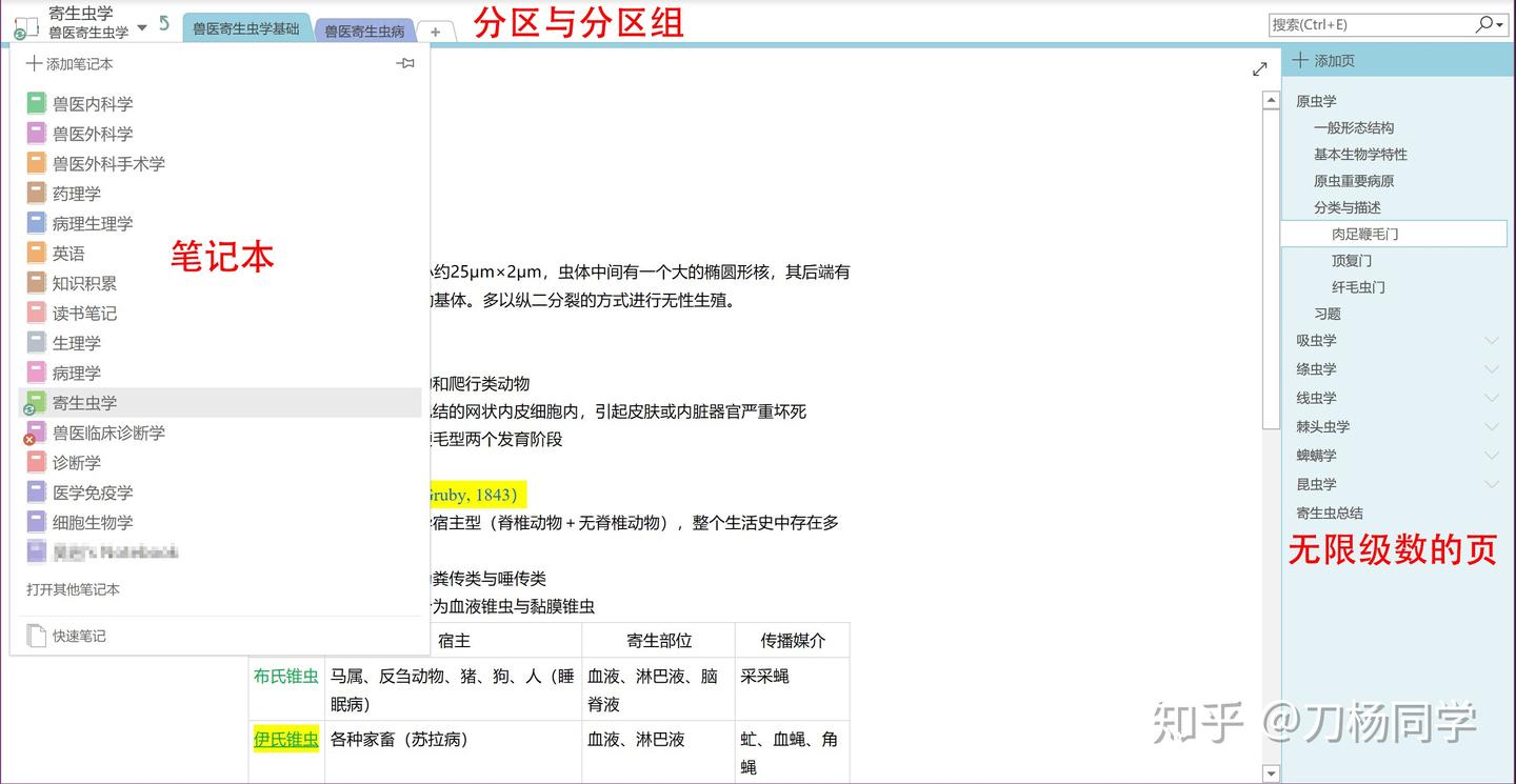 如何优雅的使用Microsoft 365 - 知乎
