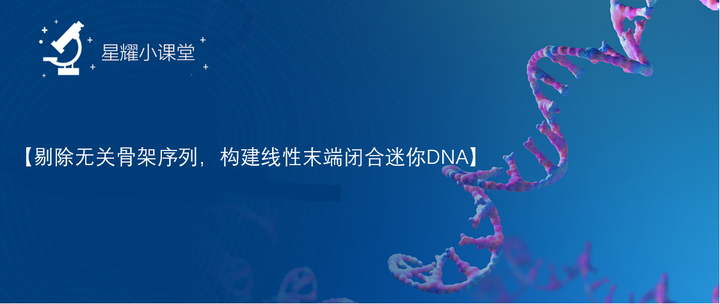 【星耀小课堂】剔除无关骨架序列,构建线性末端闭合迷你DNA - 知乎